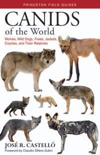 Omslagafbeelding: Canids of the World 9780691183725