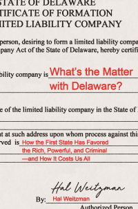 Immagine di copertina: What’s the Matter with Delaware? 9780691235745