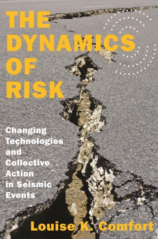 Cover image: The Dynamics of Risk 9780691165363