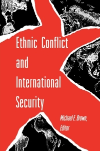 صورة الغلاف: Ethnic Conflict and International Security 9780691000688