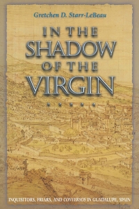 Titelbild: In the Shadow of the Virgin 9780691139388
