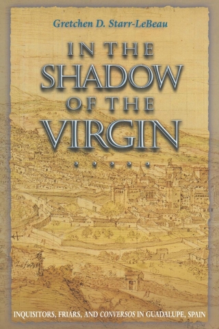 Titelbild: In the Shadow of the Virgin 9780691139388