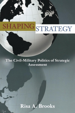 Imagen de portada: Shaping Strategy 9780691129808