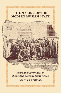 Omslagafbeelding: The Making of the Modern Muslim State 9780691259673