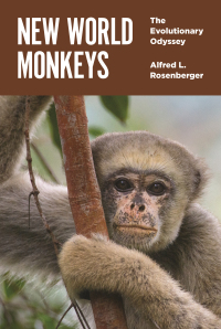 Cover image: New World Monkeys 9780691206943