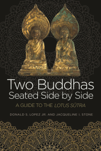 صورة الغلاف: Two Buddhas Seated Side by Side 9780691174204