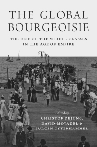 صورة الغلاف: The Global Bourgeoisie 9780691177342