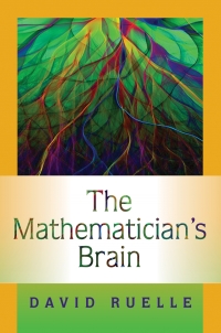 Omslagafbeelding: The Mathematician's Brain 9780691129822