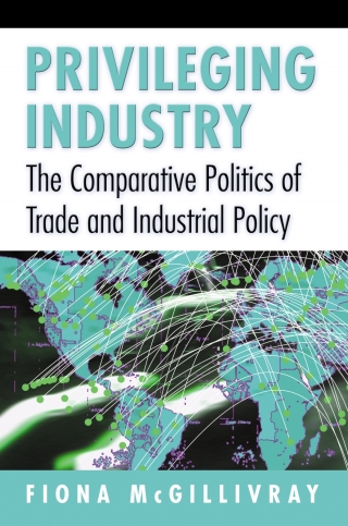 Cover image: Privileging Industry 9780691027708