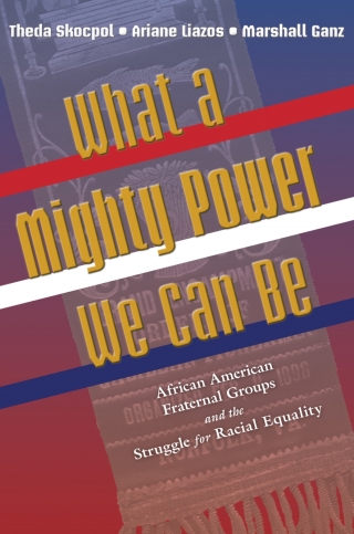 Cover image: What a Mighty Power We Can Be 9780691122991