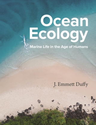 Immagine di copertina: Ocean Ecology 9780691161556