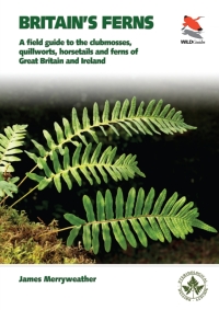 Cover image: Ferns 9780691180397
