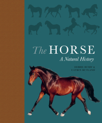 Cover image: The Horse 9780691178776