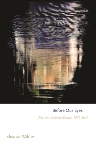 Imagen de portada: Before Our Eyes 9780691193335