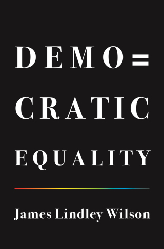 表紙画像: Democratic Equality 9780691190914