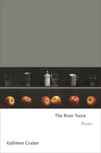 Immagine di copertina: The River Twice 9780691193205