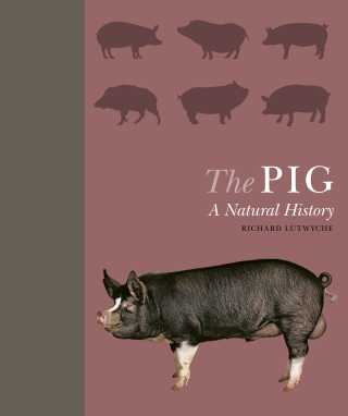 Cover image: The Pig 9780691182018