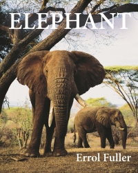 Cover image: Elephant 9780691191324