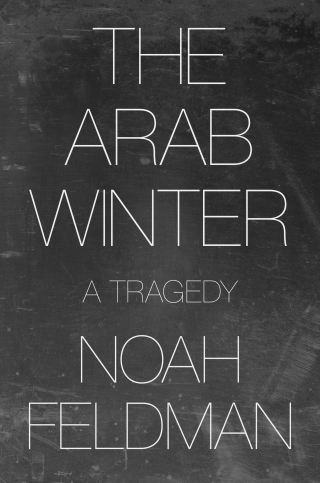 Imagen de portada: The Arab Winter 9780691227931