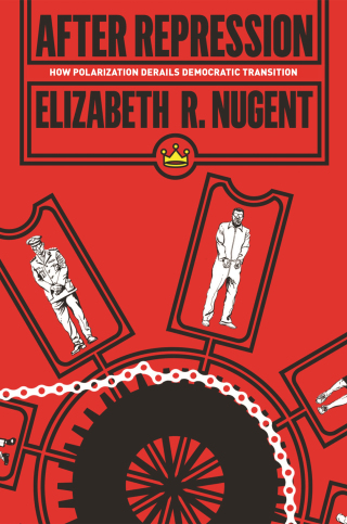 Cover image: After Repression 9780691203058