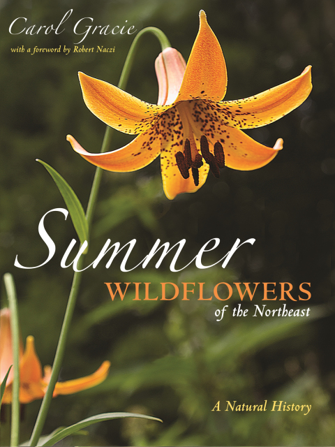 Summer Wildflowers of the Northeast: A Natural History - FULL INSTANT DOWNLOAD | PDF DOCX EPUB