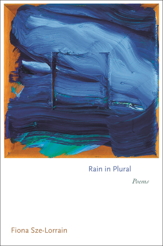 Cover image: Rain in Plural 9780691203560