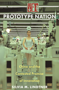 Cover image: Prototype Nation 9780691207674
