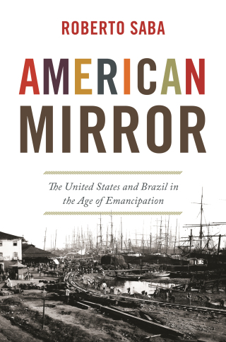 Imagen de portada: American Mirror 9780691190747