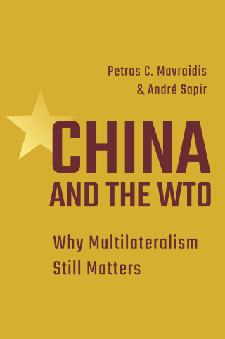 Imagen de portada: China and the WTO 9780691271132