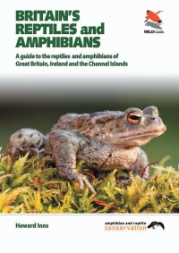 Cover image: Britain's Reptiles and Amphibians 9781903657256