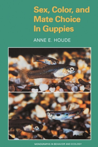 Imagen de portada: Sex, Color, and Mate Choice in Guppies 9780691027890