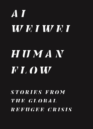 Cover image: Human Flow 9780691207049