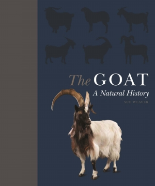 Cover image: The Goat 9780691191331