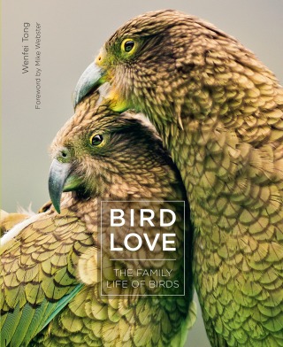 Cover image: Bird Love 9780691188843