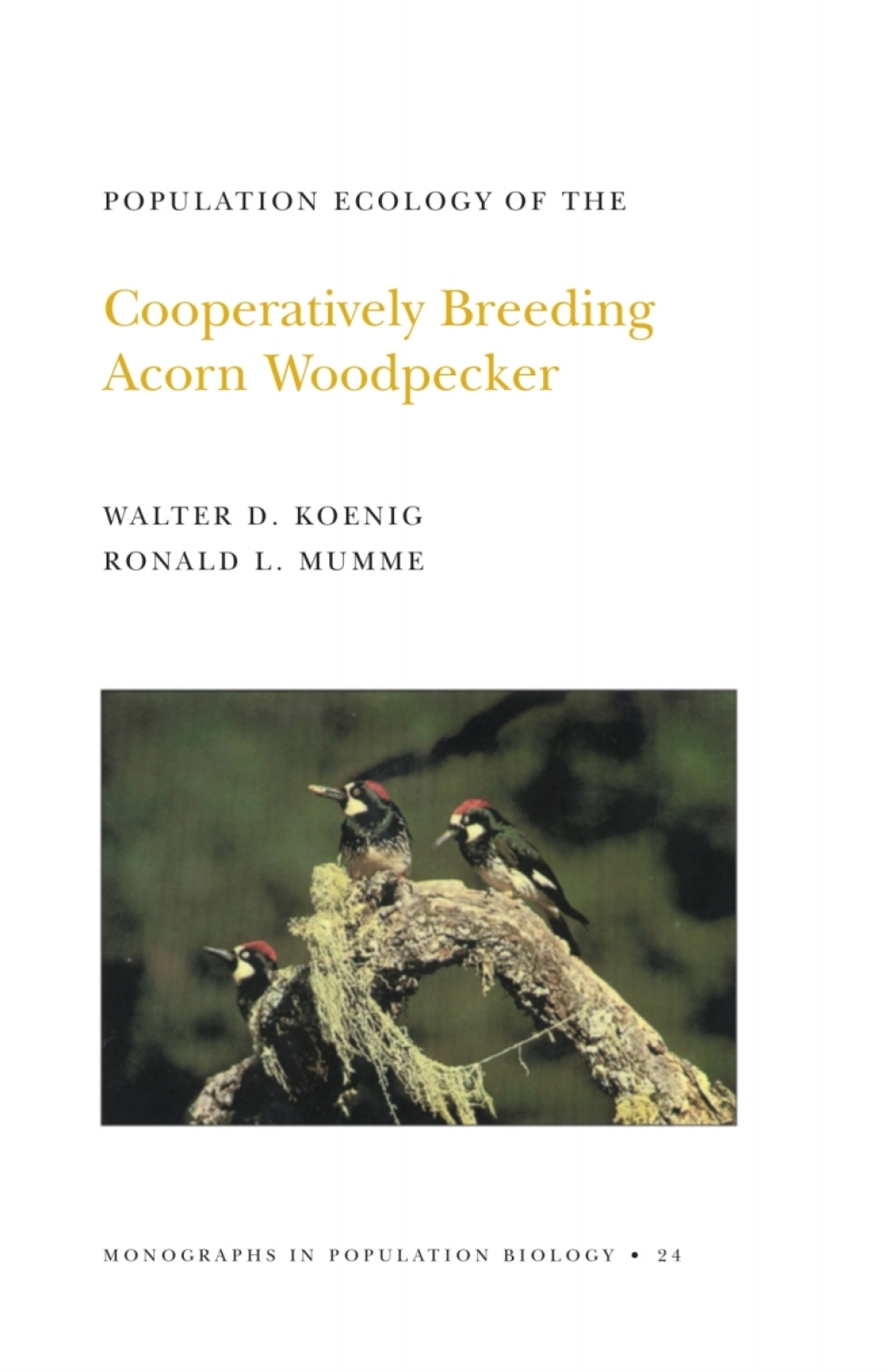 Population Ecology of the Cooperatively Breeding Acorn Woodpecker (eBook) - Walter D. Koenig; Ronald L. Mumme,