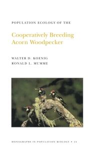 Cover image: Population Ecology of the Cooperatively Breeding Acorn Woodpecker. (MPB-24), Volume 24 9780691084640