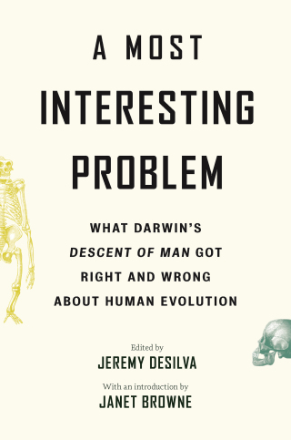 Cover image: A Most Interesting Problem 1st edition 9780691191140