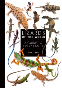 Cover image: Lizards of the World 9780691198699