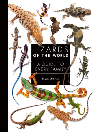 صورة الغلاف: Lizards of the World 9780691198699