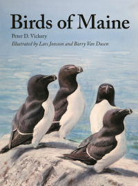 表紙画像: Birds of Maine 9780691193199