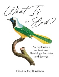 Immagine di copertina: What Is a Bird? 9780691200163