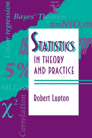 Imagen de portada: Statistics in Theory and Practice 9780691074290