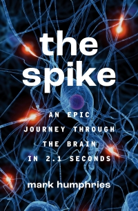 Cover image: The Spike 9780691195889