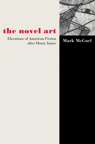 Cover image: The Novel Art 9780691088983