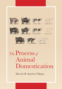 صورة الغلاف: The Process of Animal Domestication 9780691217666