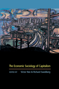 Immagine di copertina: The Economic Sociology of Capitalism 1st edition 9780691119571