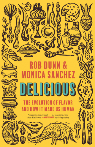 Cover image: Delicious 9780691199474