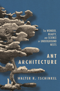 Titelbild: Ant Architecture 9780691179315