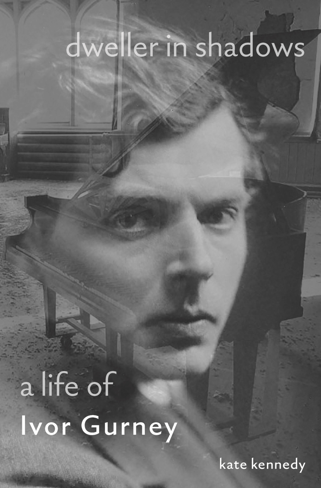 Dweller in Shadows eBook