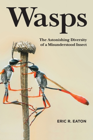 Cover image: Wasps 9780691211428